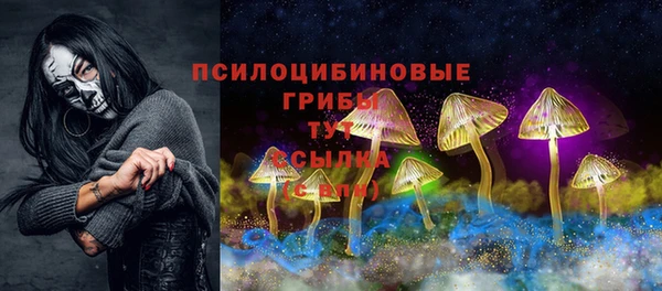 каннабис Новозыбков