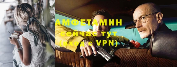 стаф Куртамыш