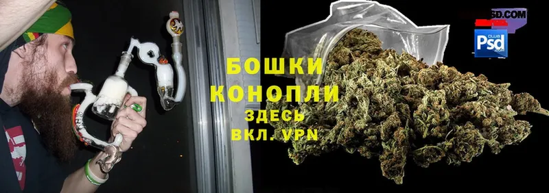 Каннабис THC 21%  Каневская 